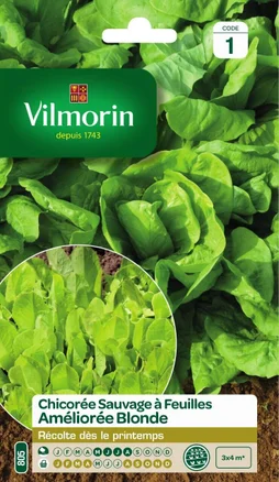 Graine potager Chicorée améliorée blonde VILMORIN