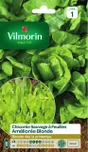 Graine potager Chicorée améliorée blonde VILMORIN