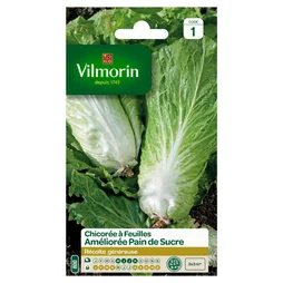 Chicorée sauvage améliorée pain de sucre VILMORIN 4 g