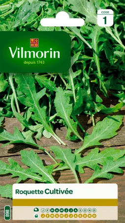Roquette cultivée VILMORIN 5 g