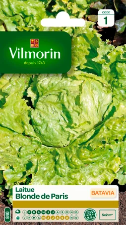 Laitue batavia blonde de paris VILMORIN 4 g