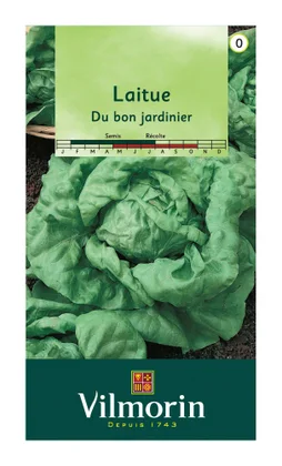 Laitue Bon Jardinier Vilmorin 3 G