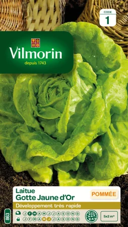 Laitue gotte jaune d'or VILMORIN 4 g