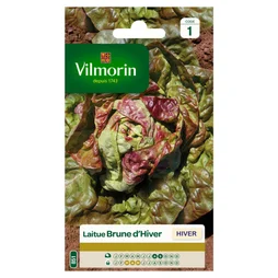 Laitue brune d'hiver VILMORIN 4 g