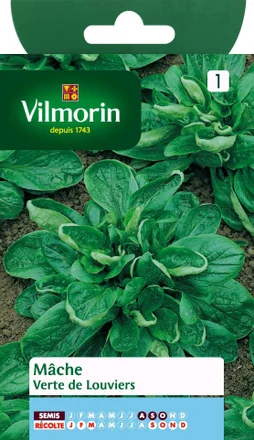 Mâche verte de louviers VILMORIN 3 g