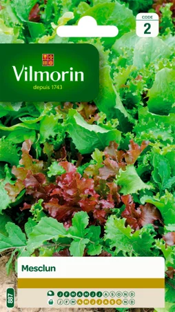 Mesclun mesclun VILMORIN 7.5 g