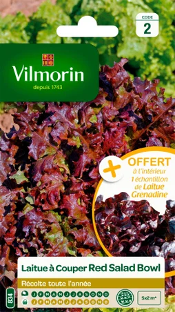 Laitue à couper à couper salad bowl rouge VILMORIN 4 g