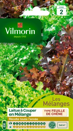 Salade en mélange VILMORIN 4 g