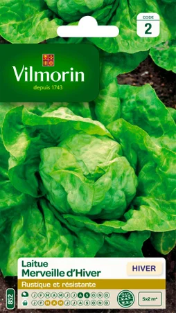 Laitue merveille d'hiver VILMORIN 4 g