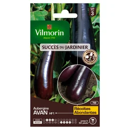 Aubergine avan hybride f1 VILMORIN 0.4 g
