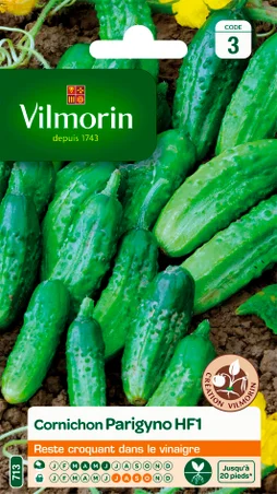 Cornichon parigyno, hybride f1 VILMORIN 2 g