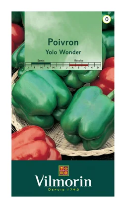 Poivron Yolo Wonder Vilmorin 1.5 G