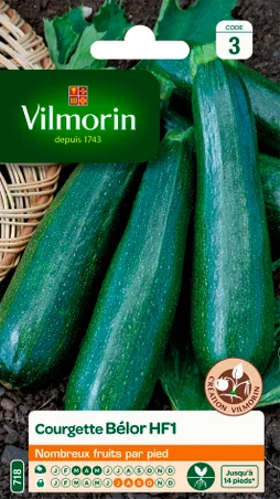 Courgette belor VILMORIN 3 g