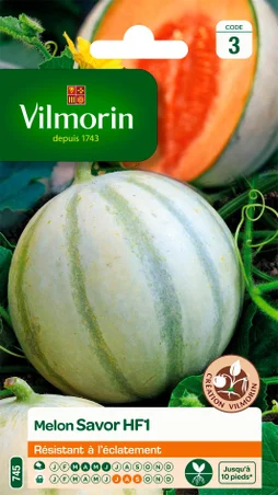 Melon savor, hybride f1 VILMORIN 0.7 g