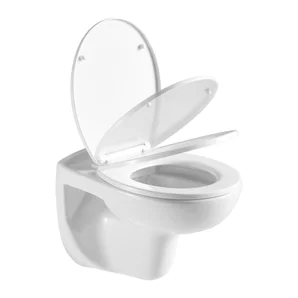 Cuvette pour wc suspendu sans bride essential sensea