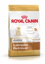Royal Canin Alimentation Chien Labretriever Pup 12Kg