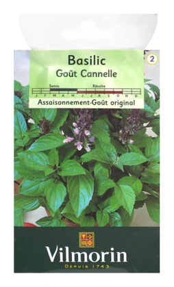 Basilic canelle VILMORIN 1 g