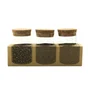 Set de 3 bocaux à épices DELINIA, transparent bouchon liège