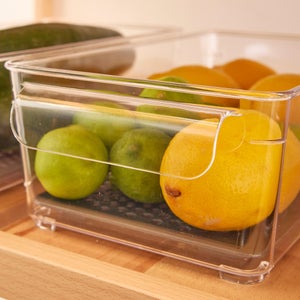 Boîte de rangement pour réfrigérateur DELINIA, transparent / gris
