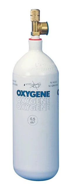 Bouteille rechargeable de gaz oxygène CAMPINGAZ 50000, 500 litres