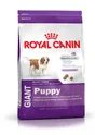Royal Canin Alimentation Chien Puppy Giant 15Kg