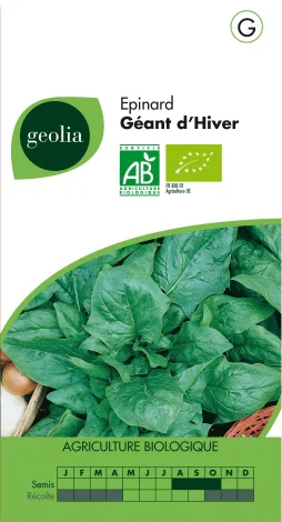 Epinard Géant D'Hiver Geolia 10 G