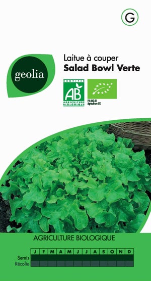 Salade Bowl Geolia 4 G