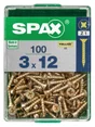 Lot De 100 Vis Acier Tête Fraisée Pozidriv Spax, Diam.3 Mm X L.12 Mm