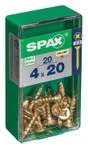 Lot De 20 Vis Acier Tête Fraisée Pozidriv Spax, Diam.4 Mm X L.20 Mm