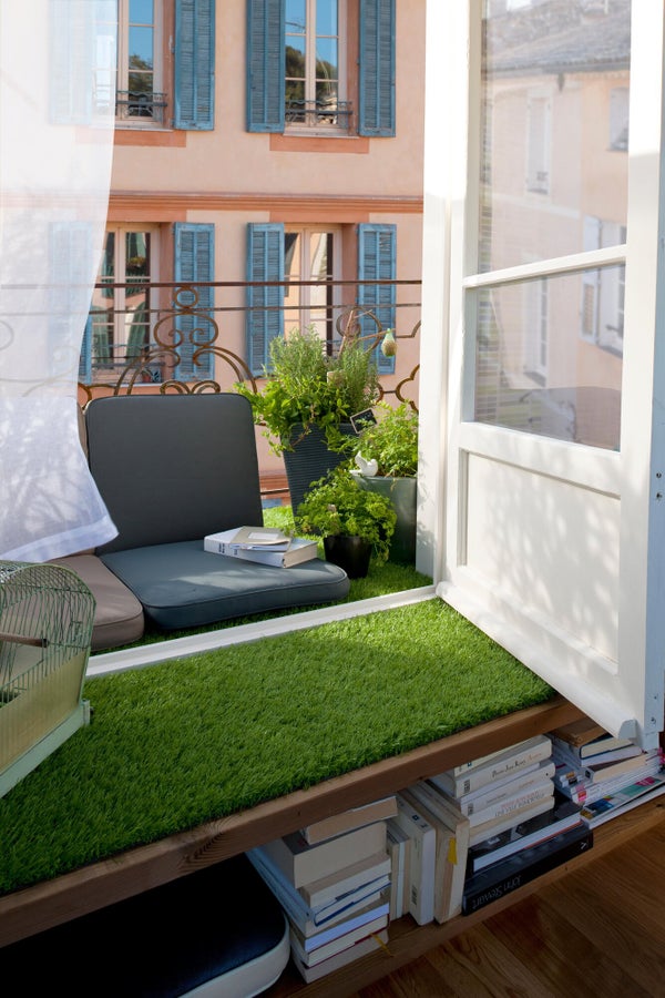 Plante Aromatique