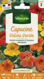 Capucine valina varié jaune à rouge