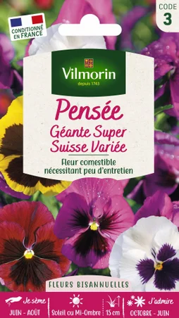 Pensée super géant suisse varié varié