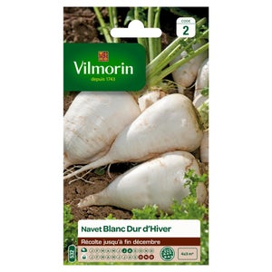 Navet blanc dur d'hiver VILMORIN 4 g