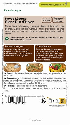 Navet blanc dur d'hiver VILMORIN 4 g