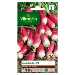 Radis Kocto Vilmorin 10 G