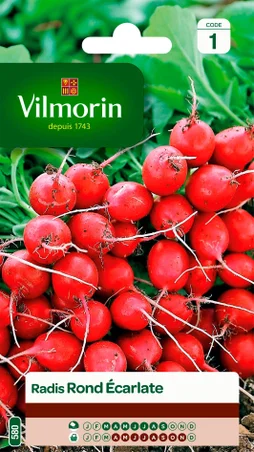 Radis Rond Ecarlate Vilmorin 10 G
