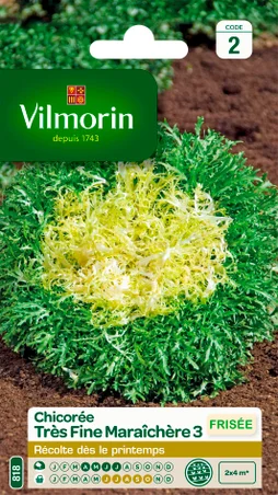 Chicorée frisée (très fine) maraîchère VILMORIN 4 g