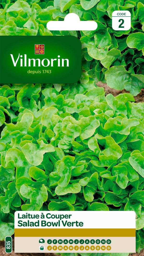 Laitue à couper à couper salad bowl verte VILMORIN 4 g