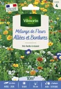 Prairie Fleurie Mélange Couvrant Allées Bordures Vilmorin 10 M²