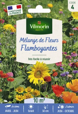 Prairie Fleurie Mélange Flamboyant Vilmorin 10 M²