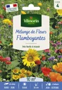 Prairie Fleurie Mélange Flamboyant Vilmorin 10 M²