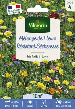 Prairie Fleurie Résistant Sécheresse Multicolore