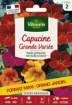 Capucine Grande Variée Varié