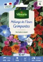 Prairie Fleurie Mélange Fleurs Grimpantes Vilmorin 10 M²