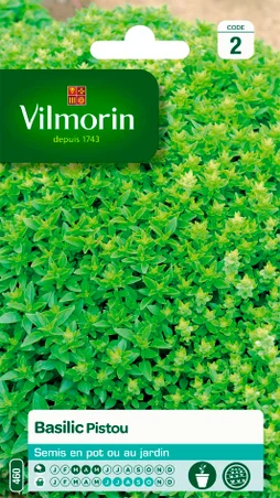 Basilic Pistou Vilmorin 1 G
