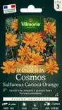 Cosmos carioca orange VILMORIN