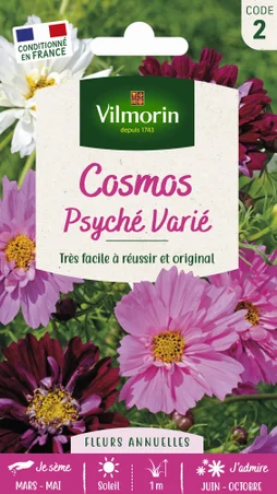Cosmos psyche varié blanc, rose, rouge
