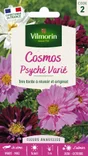 Cosmos psyche varié blanc, rose, rouge