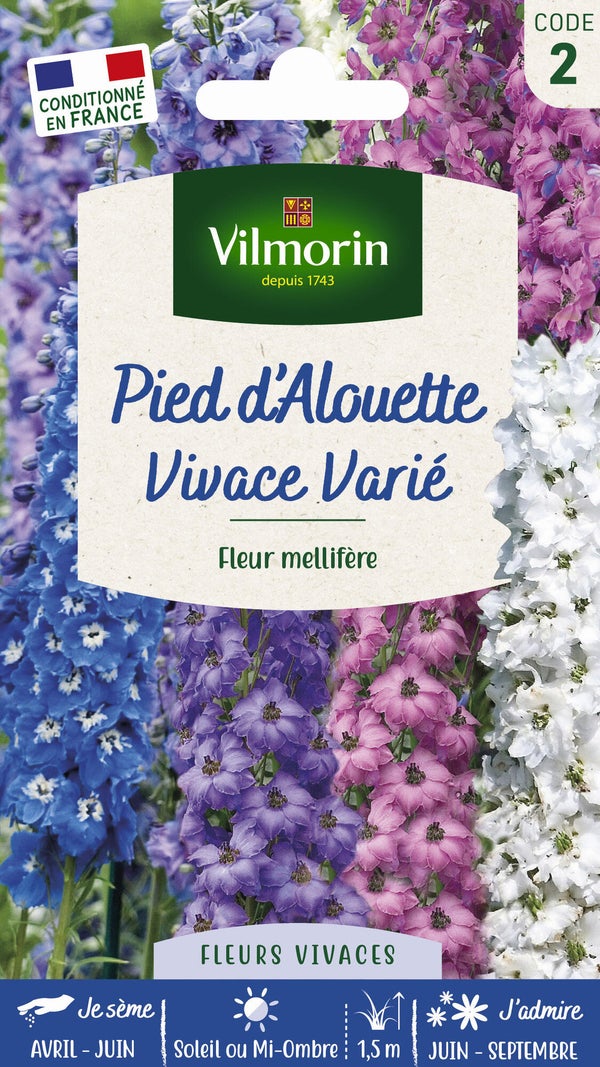 Delphinium pacific géant varié