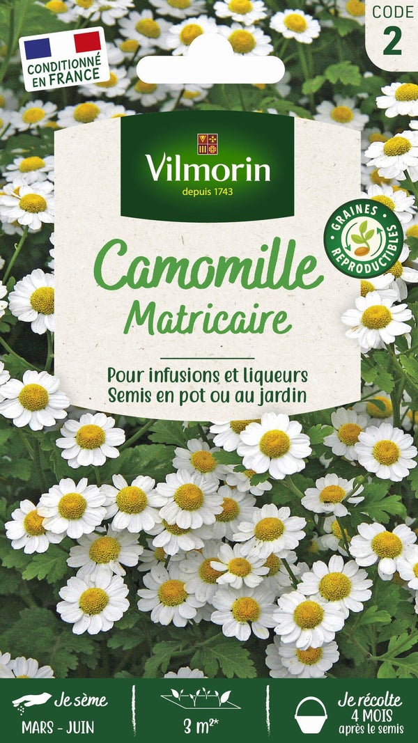 Camomille VILMORIN
